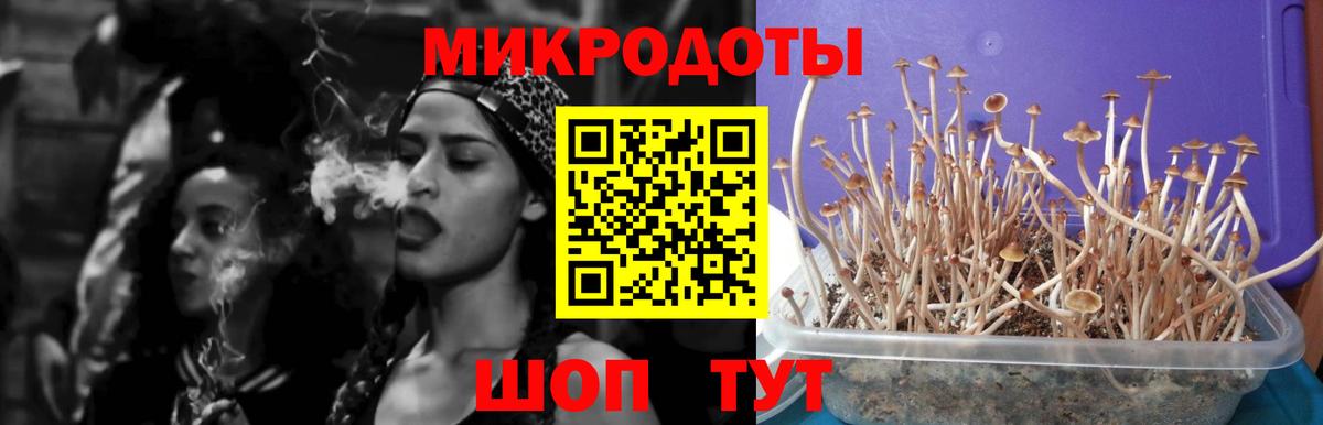 магазин  наркотиков  Псилоцибиновые грибы Psilocybine cubensis  Вход с VPN  Коломна 